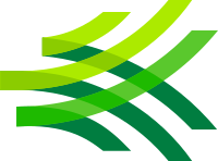 SAW Logo